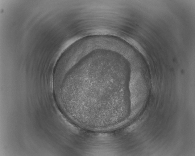 X0000062840839200601272014