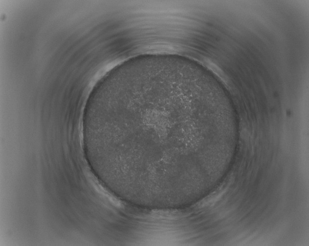 X0000062840840200601272014