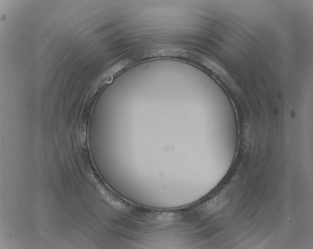 X0000062840841200601272014