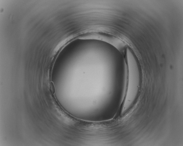 X0000062840842200601272014