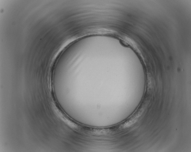 X0000062840843200601272014