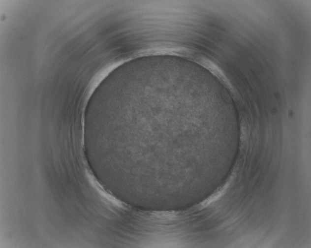 X0000062840844200601272014