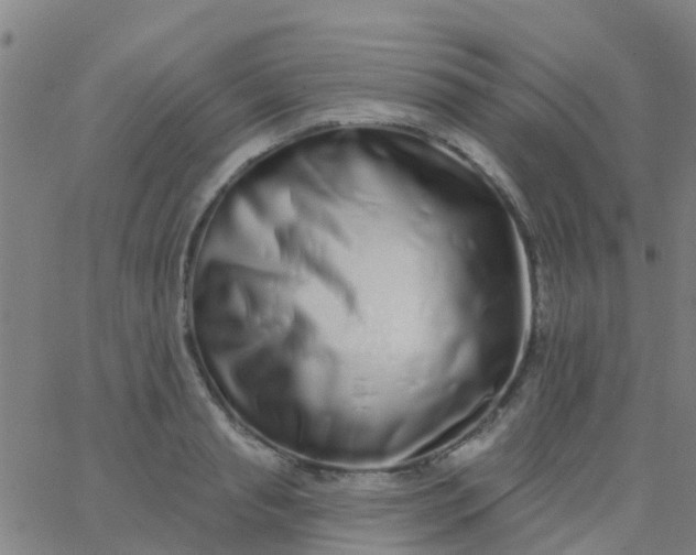 X0000062840845200601272014