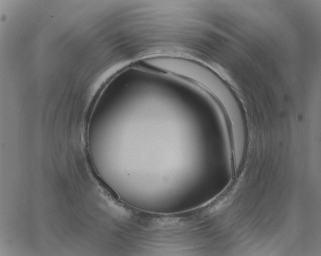 X0000062840846200601272014