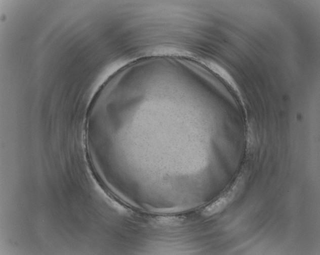 X0000062840847200601272014