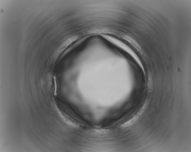 X0000062840849200601272014