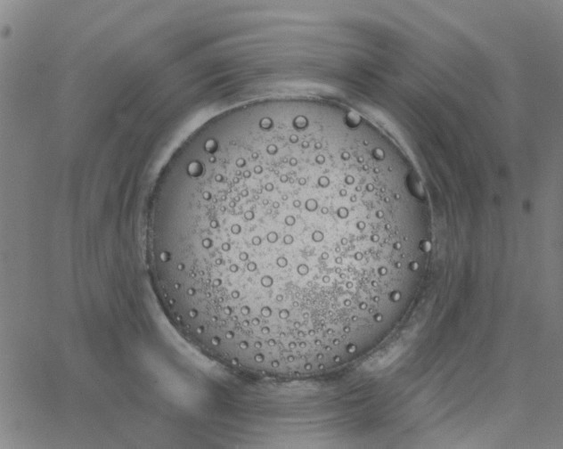 X0000062840851200601272014