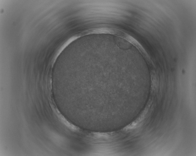 X0000062840852200601272014