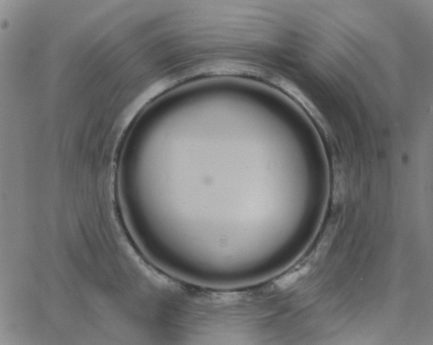 X0000062840853200601272014