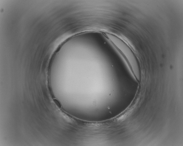 X0000062840854200601272014