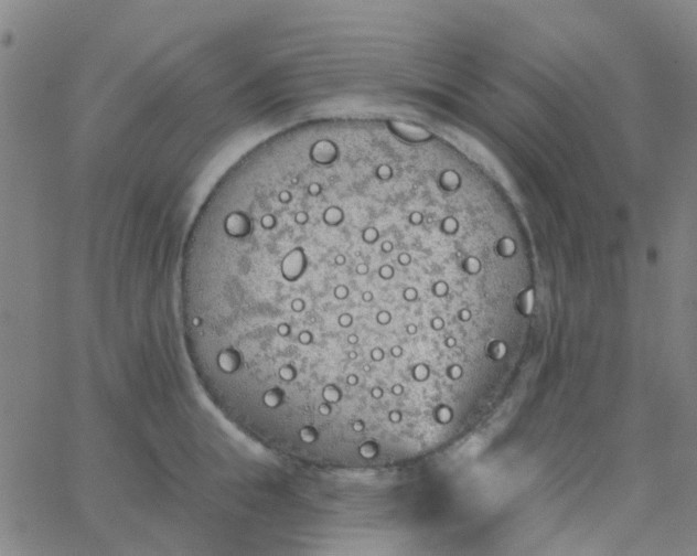 X0000062840855200601272014