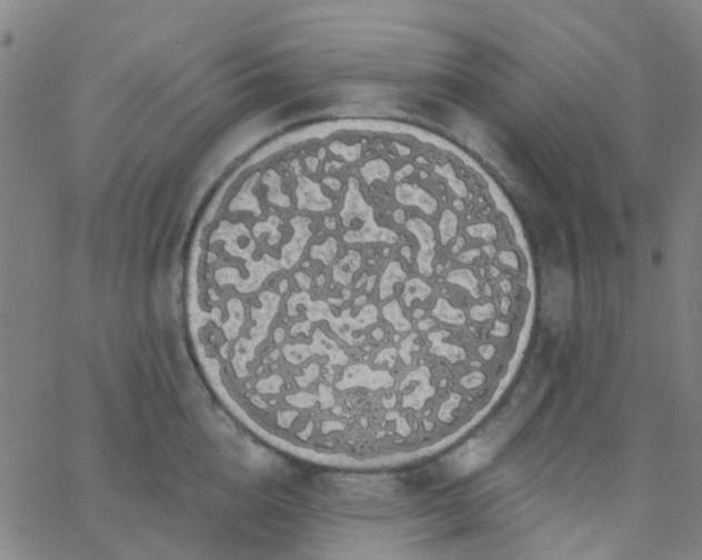 X0000062840856200601272014