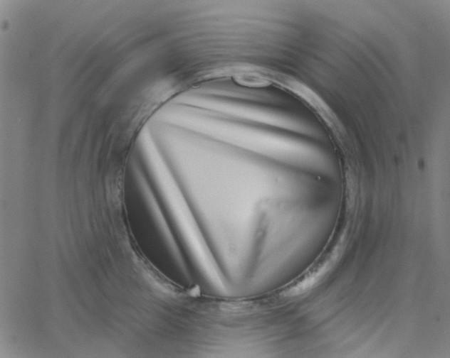 X0000062840857200601272014