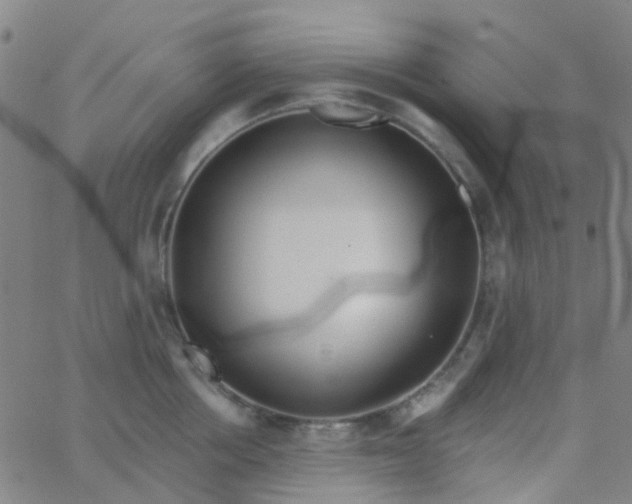 X0000062840858200601272014