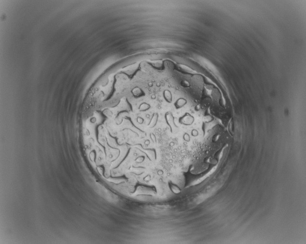 X0000062840859200601272014