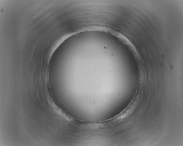 X0000062840860200601272014