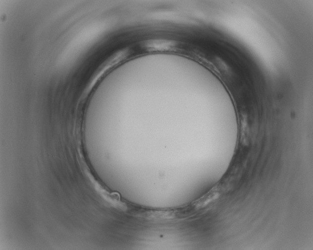 X0000062840861200601272014