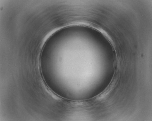 X0000062840862200601272014