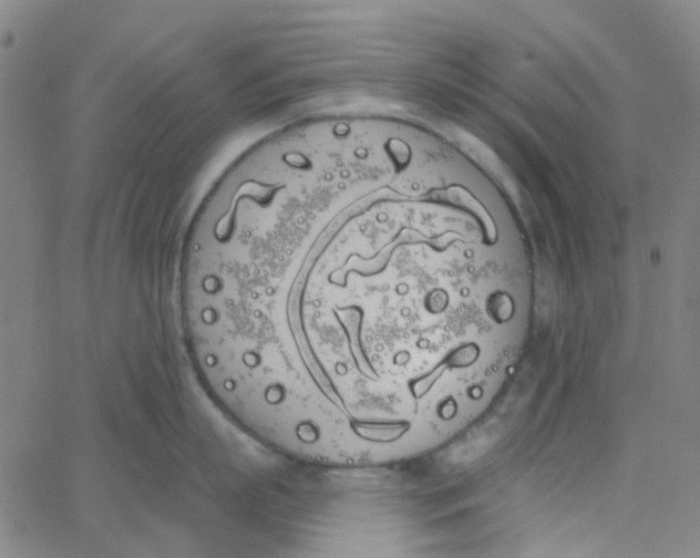 X0000062840863200601272014