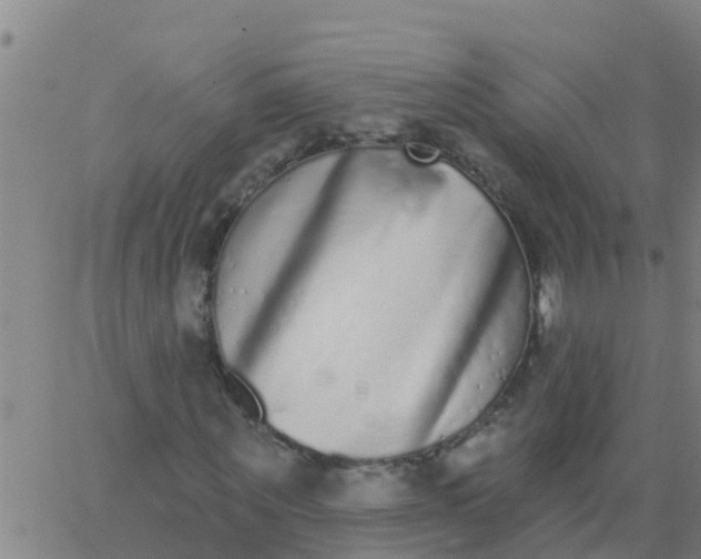 X0000062840867200601272014