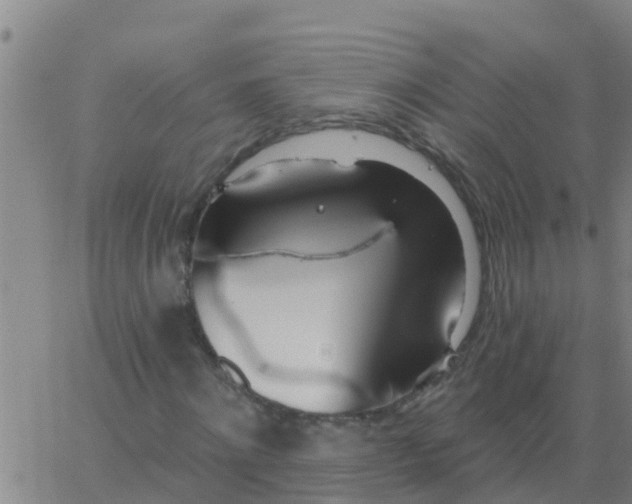 X0000062840868200601272014