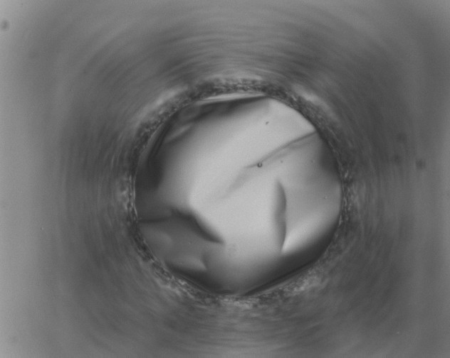 X0000062840870200601272014