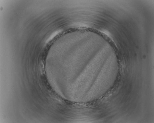 X0000062840871200601272014