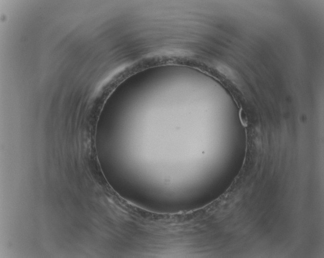 X0000062840872200601272014