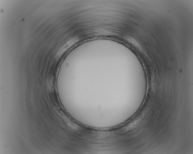 X0000062840873200601272014