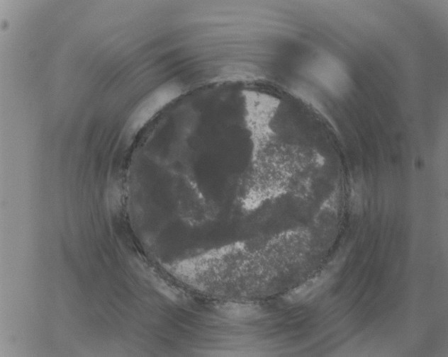 X0000062840874200601272013