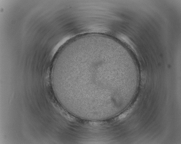 X0000062840875200601272013