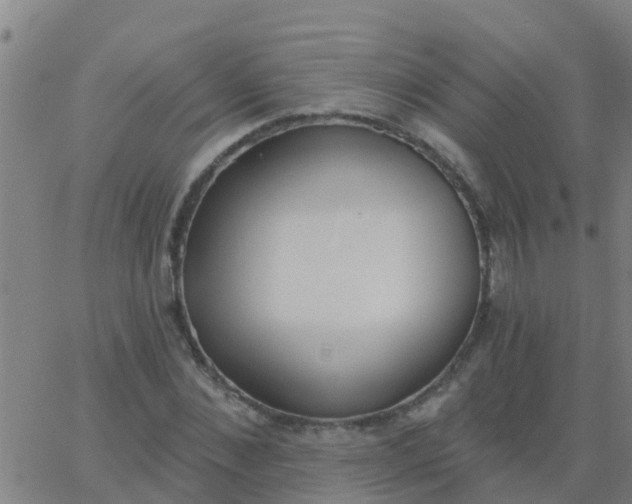 X0000062840876200601272013