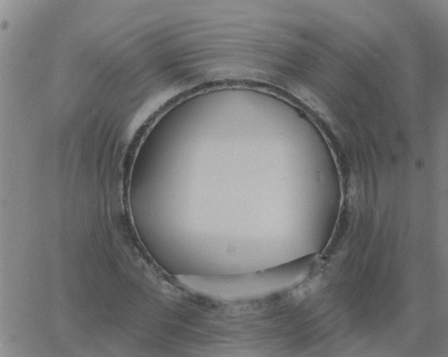 X0000062840877200601272013