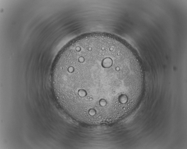 X0000062840879200601272013