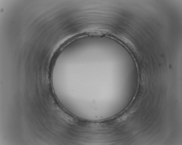 X0000062840880200601272013