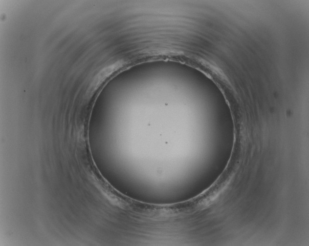 X0000062840881200601272013