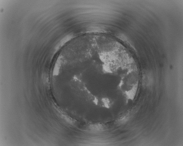 X0000062840882200601272013