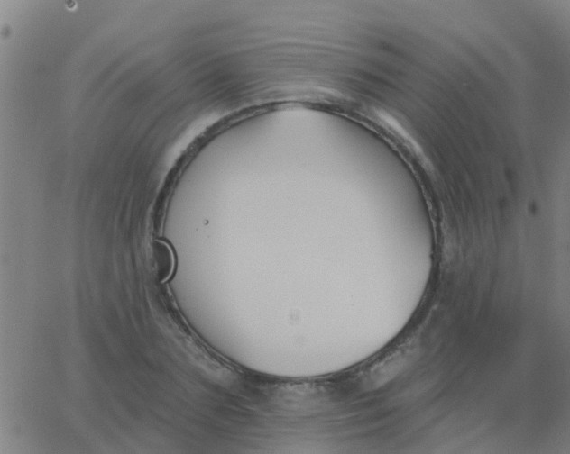 X0000062840883200601272013