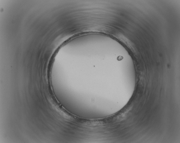 X0000062840884200601272013