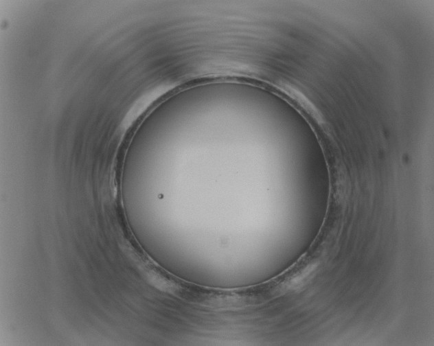 X0000062840885200601272013