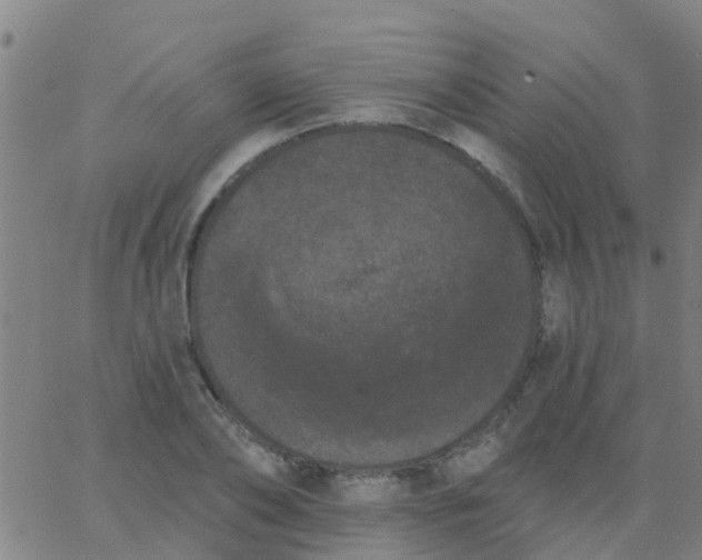 X0000062840886200601272013