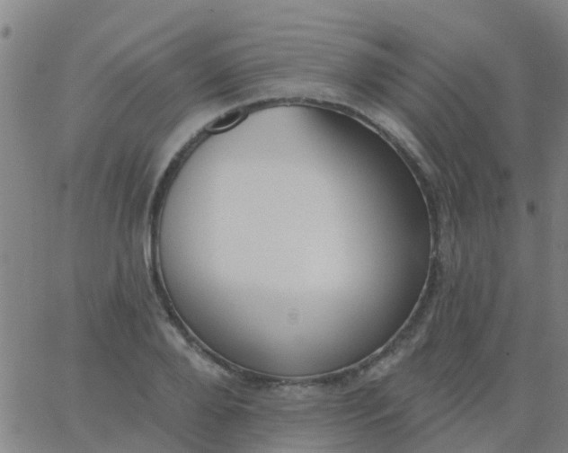 X0000062840888200601272013