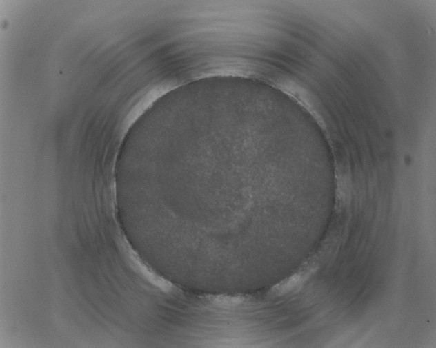 X0000062840890200601272013