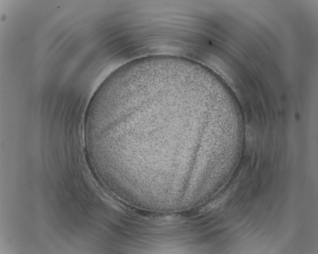 X0000062840891200601272013