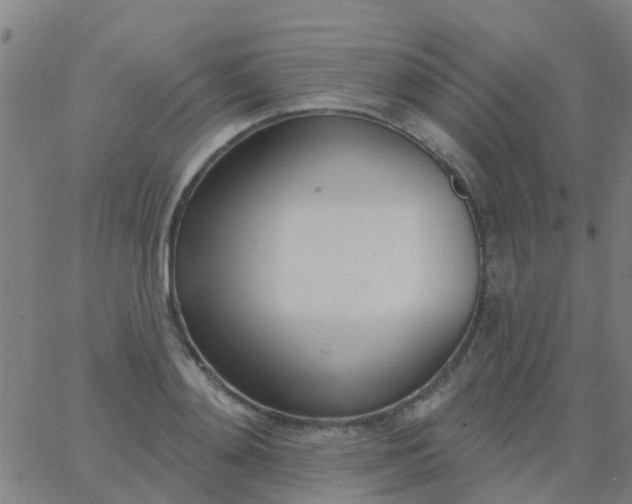 X0000062840892200601272013