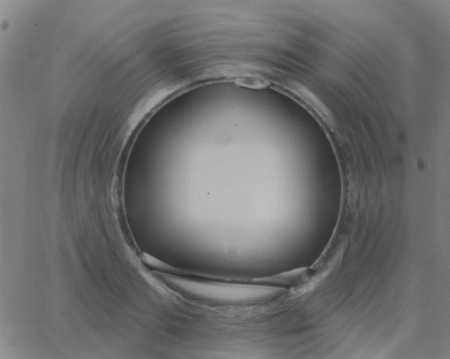 X0000062840893200601272013