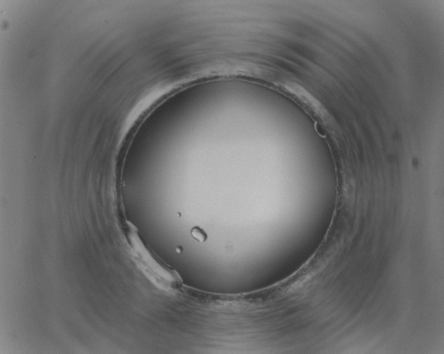 X0000062840894200601272013