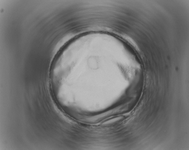 X0000062840895200601272013