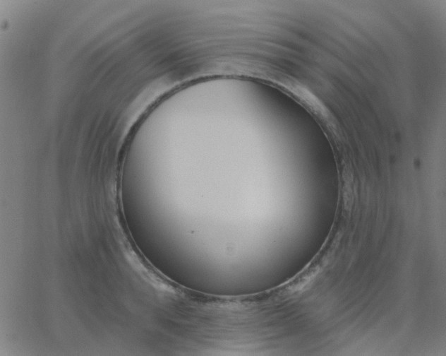 X0000062840896200601272013