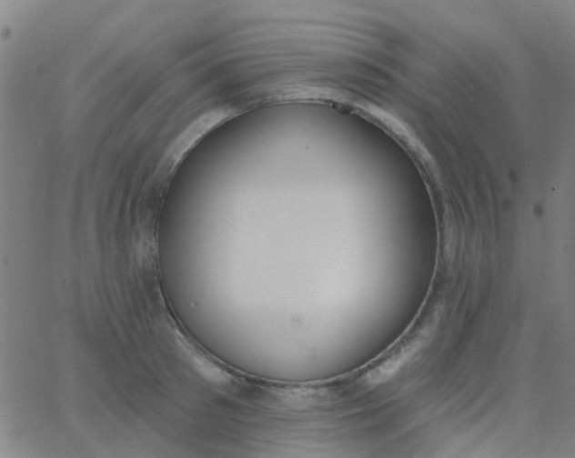 X0000062840897200601272013